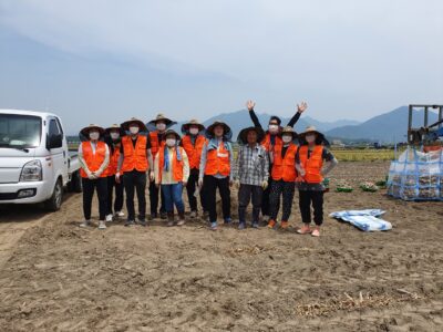 창녕시니어클럽 직원 농촌일솝돕기 지원