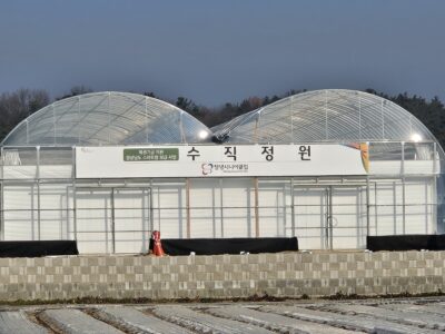경상남도 노인일자리 활용 수직정원 보급 사업 추진